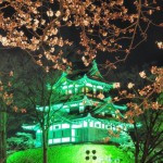 高田公園（高田城）の夜桜の見頃は？北陸新幹線で見に行こう！